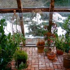 view-into-greenhouse-22010.jpg