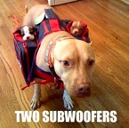 Two-subwoofers.jpg