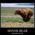 Hover-Bear.jpg