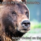 PeTA-bear.jpg