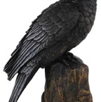 Raven-Looking-Back-Statue.jpg